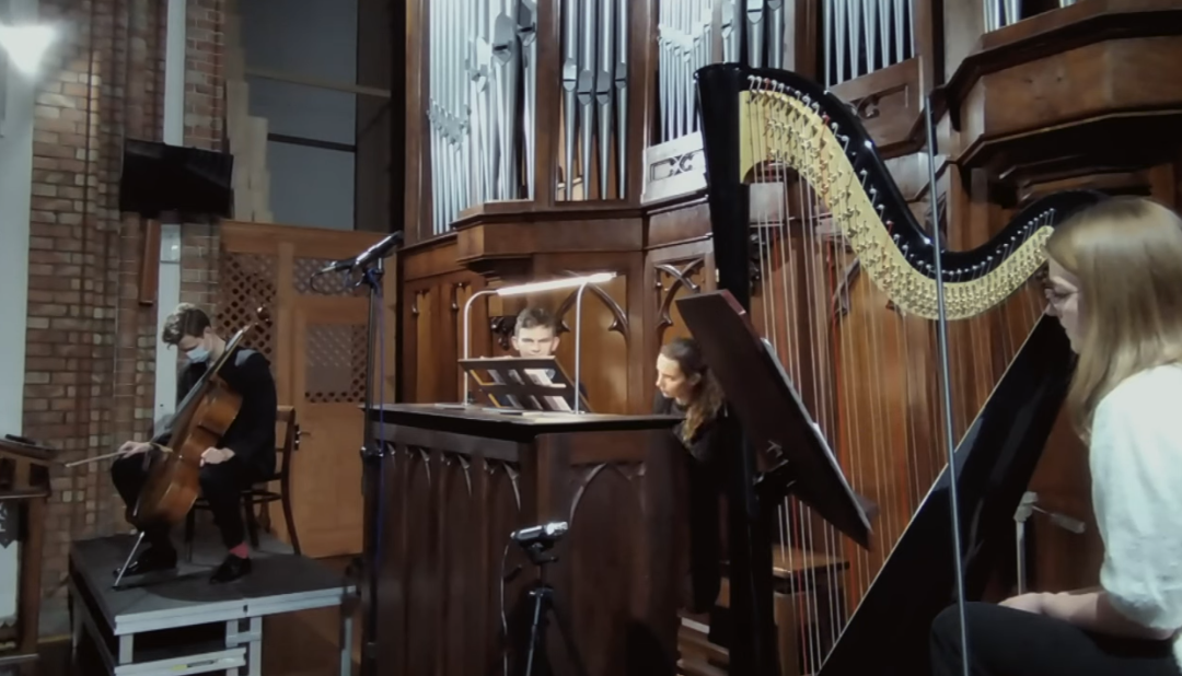 Kameralistyka organowa w UMFC