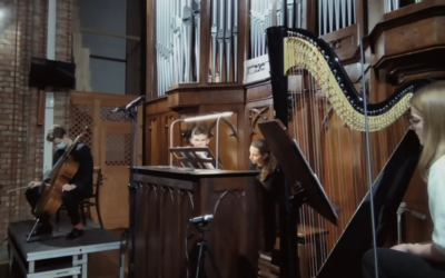 Kameralistyka organowa w UMFC